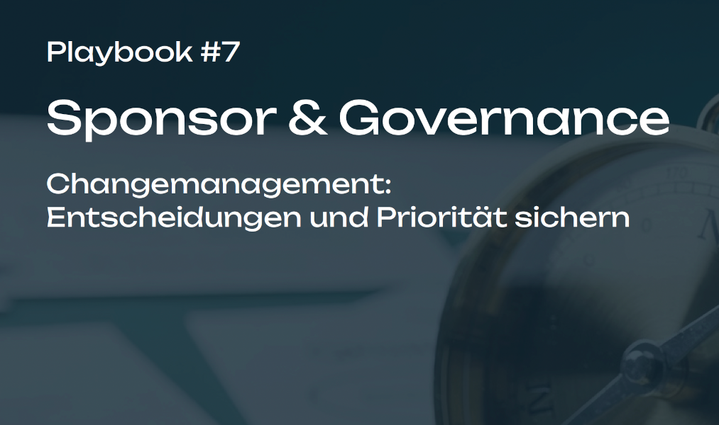 Playbook #7 - Sponsor & Governance